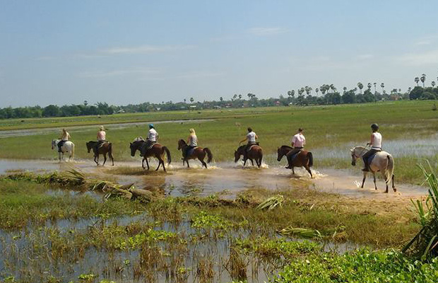 Angkor Horse Riding