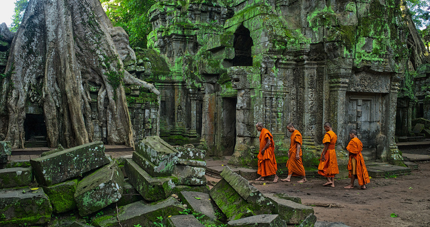 Angkor Wat Temples & Kulen Elephant Forest Day Tour