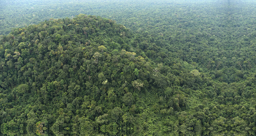 Cardamom Mountains - Pursat