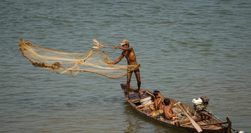 Irrawaddy Dolphins - Kratie