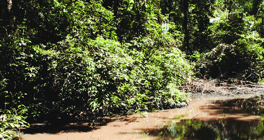 Kantuy Ko - Stung Treng