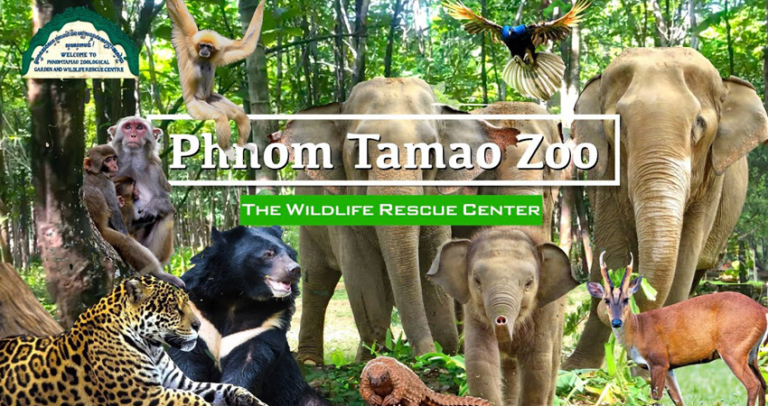 Phnom Ta Mao Zoo - Takeo