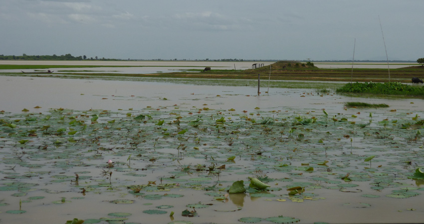 Prey Pros - Kampong Thom