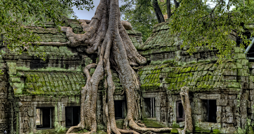 Siem Reap Angkor Airport to Siem Reap City by Private Car or Minivan