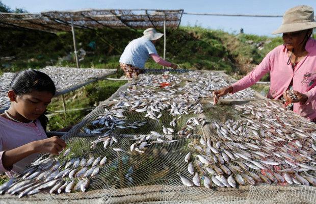 Fishing at Mondulkiri